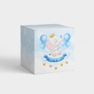 Boy Gender Reveal Favour Box